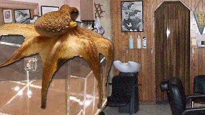 Τρίχες ο… Πολ το χταπόδι!