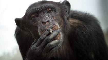 Πέθανε ο Τσάρλι!