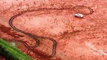 Νεκρά ψάρια στον Δούναβη