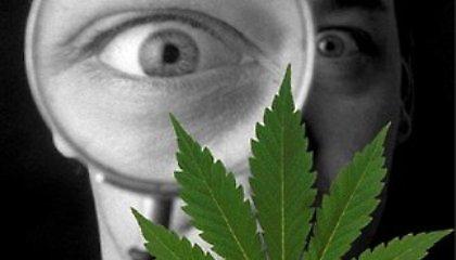 Κοριτσάκι 14 χρόνων συνελήφθη με χασίς!