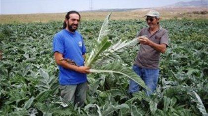 Άρχισε η ΔΕΗ να βγάζει ρεύμα από …αγκινάρα!