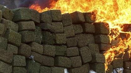 Τώρα κλαιν' όλα τα αλάνια… (pics)