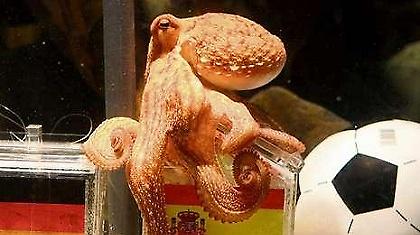 Στον… κουβά ο Πολ!