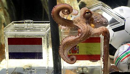 Βρείτε τον αντικαταστάτη του Paul