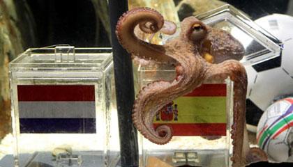 Βρείτε τον αντικαταστάτη του Paul