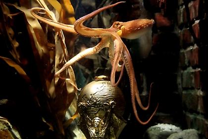 Je m'appelle… Πολ