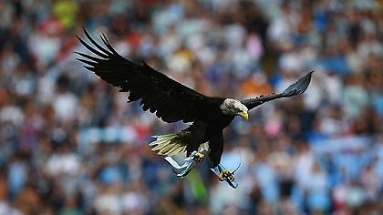 Για να μην… πεθάνει ο αετός στον αέρα