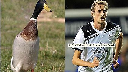 Ο Κράουτς το τρίτο πρόσωπο στην οικογένεια Μπέκαμ!