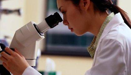 Δημιουργήθηκαν ποντίκια από δύο μπαμπάδες!