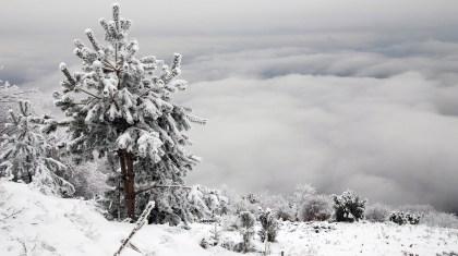 Κρύο επιτέλους!