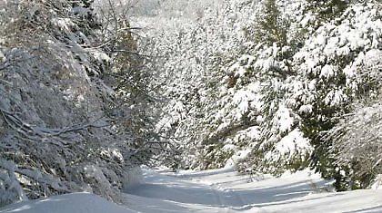 Πρόγνωση καιρού Πέμπτης, 16 Δεκεμβρίου 2010