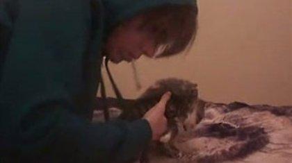 Ρούφηξε δύο γατάκια με ηλεκτρική σκούπα!