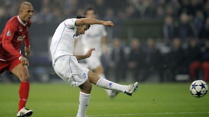 Έρευνα για το Σάλκε-Χάποελ