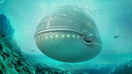 Κιβωτός του Νώε Νο 2