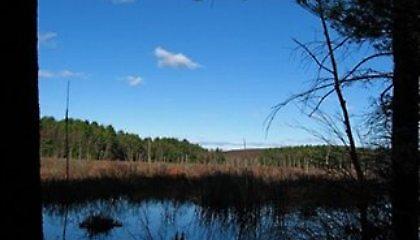 Η καταδίωξη τελείωσε στον… βάλτο!