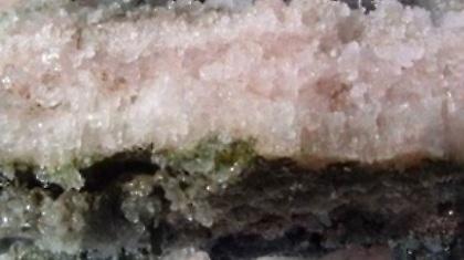 Είναι 34.000 ετών, ζωντανά κι ακόμα παιδιά!