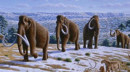 «Σε 4 χρόνια το Μαμούθ μπορεί να ξαναγεννηθεί»!