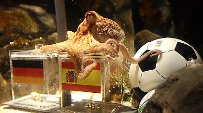 Άγαλμα στον Πολ το χταπόδι!