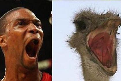 Ο Κρις Μπος είναι… ζώο