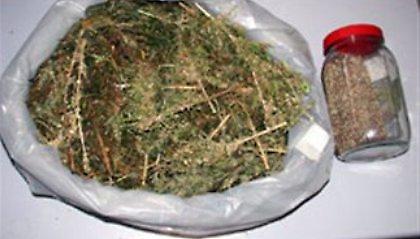 Τα παπούτσια δεν είναι καλή… κρυψώνα!