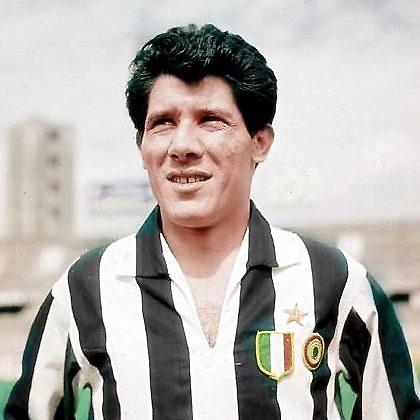 Ένα μεγάλο… κεφάλι (video)