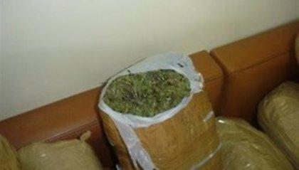 Ο σωλήνας ύδρευσης έβγαζε… χασίς!