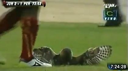 Πέθανε η κουκουβάγια, ραντεβού στην άλλη ζωή