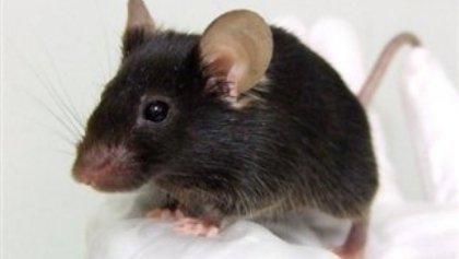 Αυτό θα πει επιχειρηματικό πνεύμα...