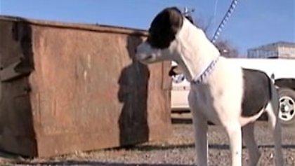 Αναστήθηκε μετά από ευθανασία!