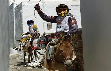 Γαϊδούρια…Κένταυροι