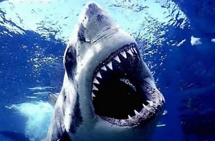 Τους ζήτησαν να κρύψουν την αλήθεια!