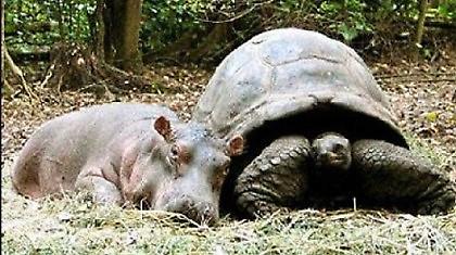 Το ζευγάρι της χρονιάς! (pics)