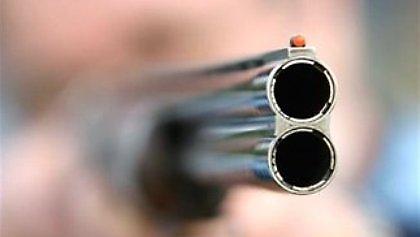 Καταδικάστηκαν δολοφόνοι αδέσποτων στη Ρόδο