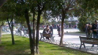 Η γιαγιά έπινε καφέ και έστελνε τα εγγόνια να κλέψουν