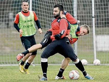 Άγριο ξύλο Τζαβέλλα-Φραντς (pics)