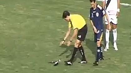 Κι άλλο πτηνό πεθαίνει στο γήπεδο (vid)