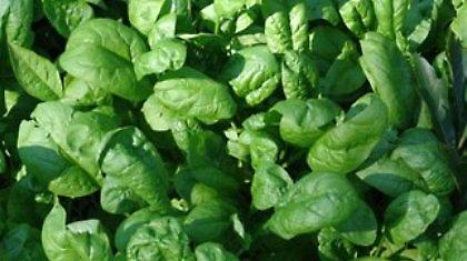 Ανιχνεύτηκε ραδιενέργεια σε τρόφιμα στην Ιαπωνία