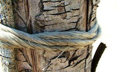 Τον έπνιξε ο υπάλληλός του