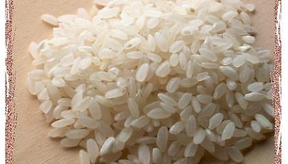 Αποσύρεται μεταλλαγμένο ρύζι!