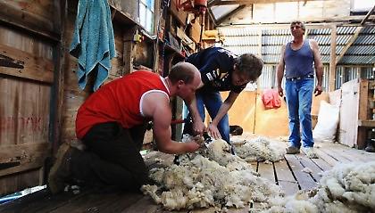 Φέτελ ο… αγρότης!