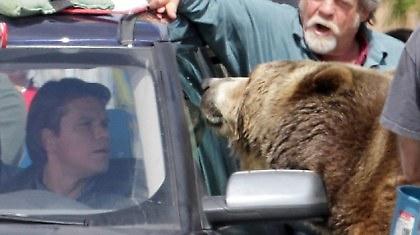 Αντιμέτωπος με μια αρκούδα ο Matt Damon