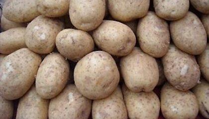 «Θέρισαν» ξένο χωράφι!