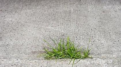 FC: Η Άνοιξη του ελληνικού ποδοσφαίρου