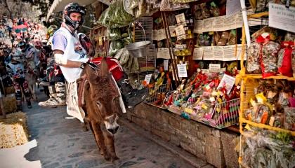 Γαϊδούρια…ταύροι