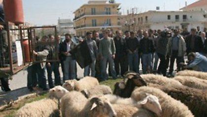 Ξανά στους δρόμους οι κτηνοτρόφοι