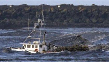 Θύμα του τσουνάμι και στις ΗΠΑ
