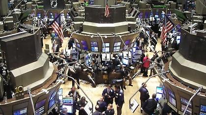 «Τρελές αγελάδες…»!