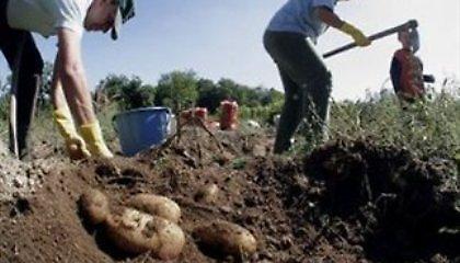 Δωρεάν στρέμματα γης σε χιλιάδες αγρότες