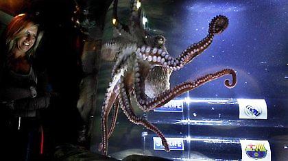 Ο… Ινιέστα «διάλεξε» Ρεάλ! (video)