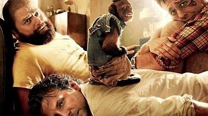 H μαϊμού του «Hangover» είναι εθισμένη στη νικοτίνη